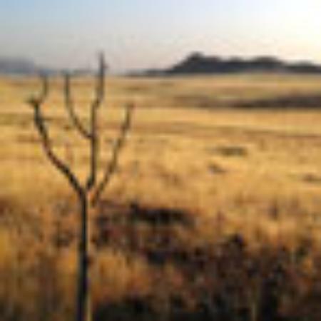 Hotel Restaurant Forsthaus am See