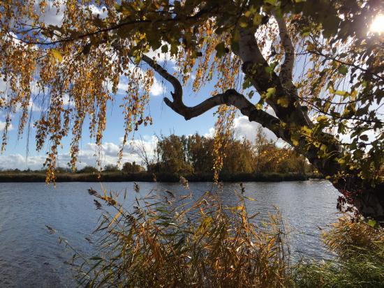 Flächennaturdenkmal am "Alten Lager"