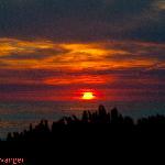 Biomarkt und Bistro Unter Den Linden