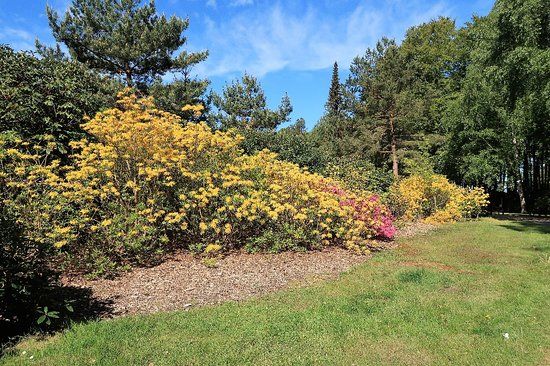 Rhododendronpark Graal-Müritz