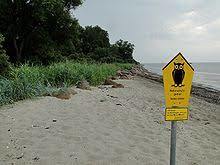 Naturschutzgebiet Tarnewitzer Huk