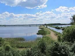 Fischteiche in der Lewitz