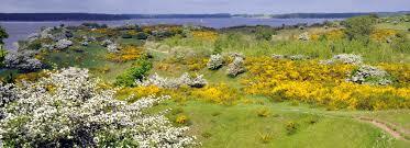 Naturschutzgebiet Halbinsel Devin