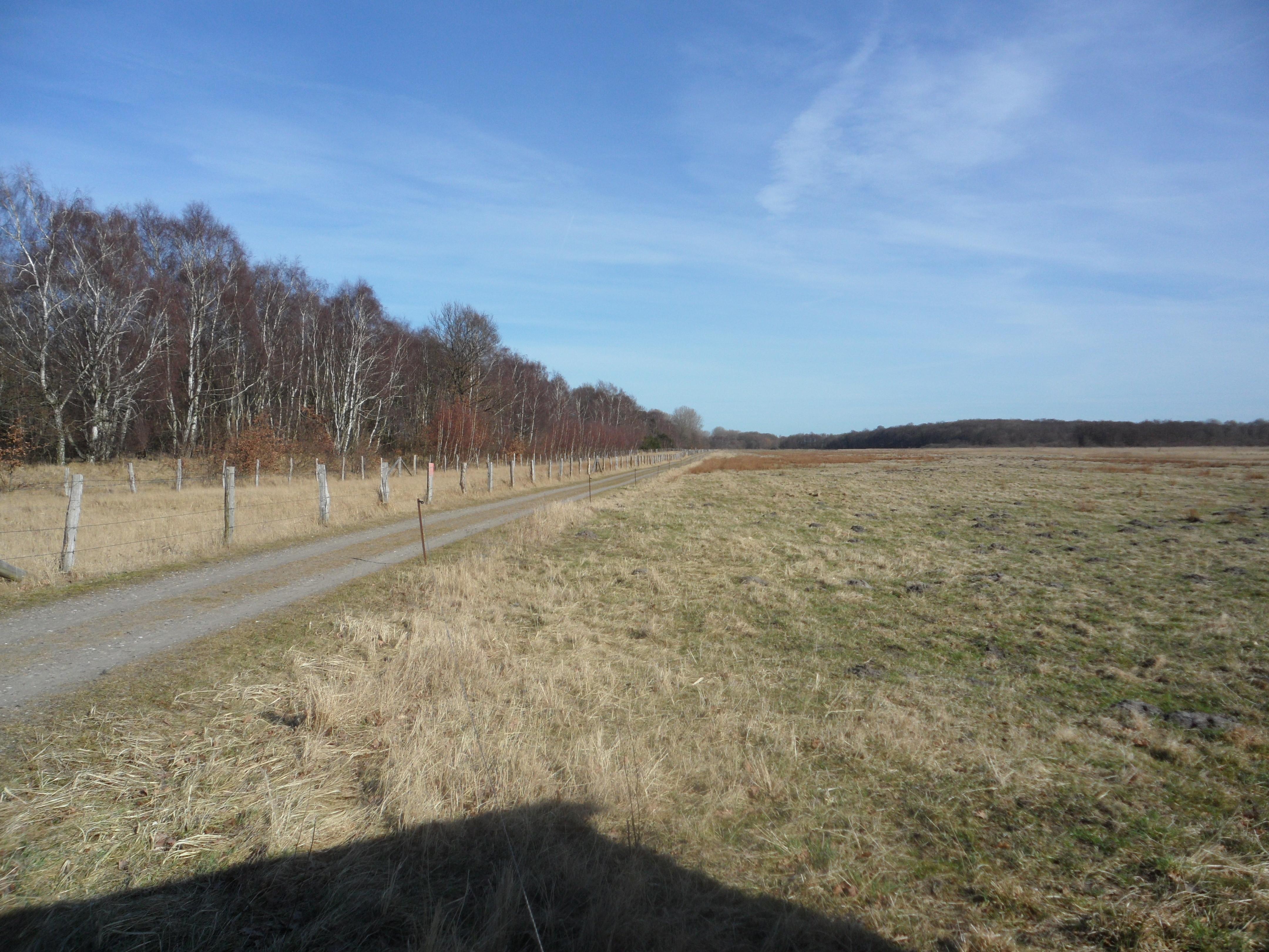 Küstenlandschaft zwischen Priwall und Barendorf mit Harkenbäkniederung