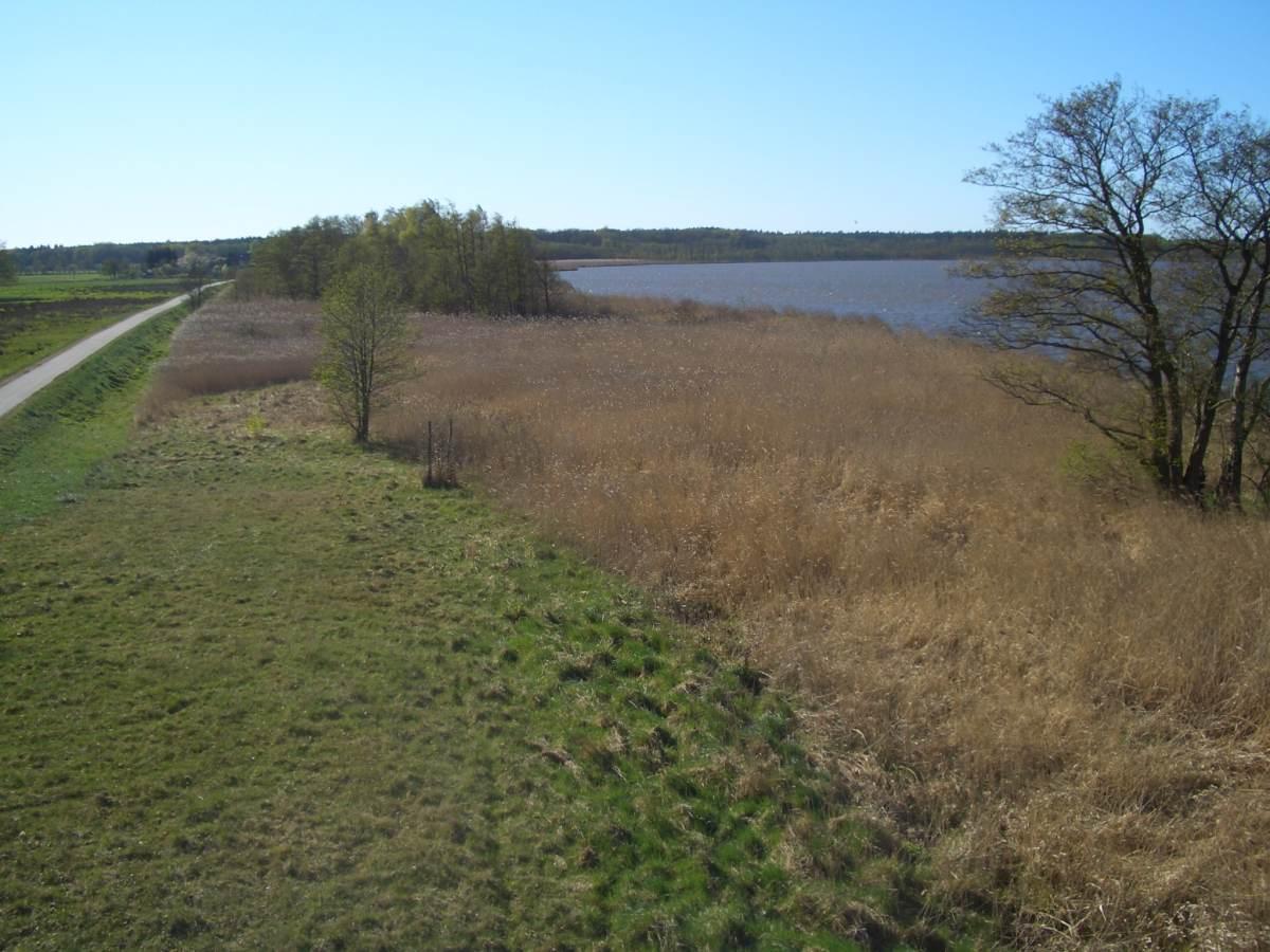 Altwarper Binnendünen