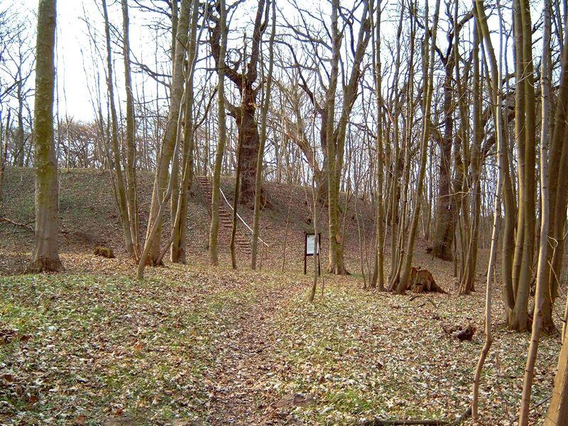 Burgwall Laschendorf