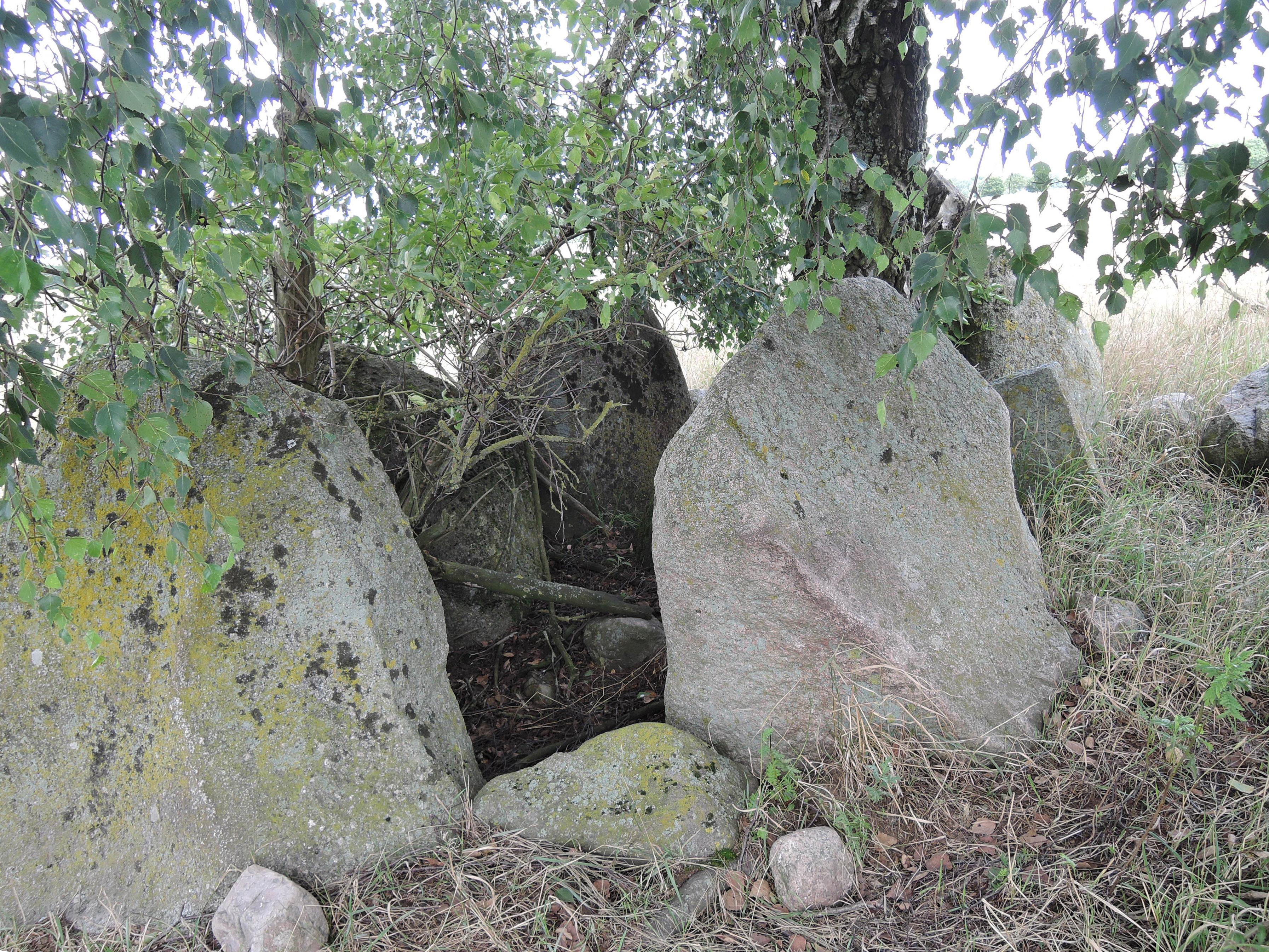 Grosssteingrab Stuer 6