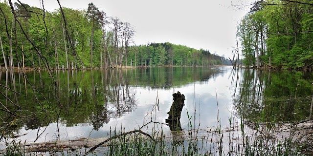 Müritz-Nationalpark