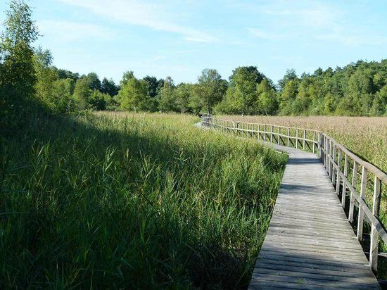 UNESCO-Biosphärenreservat Schaalsee