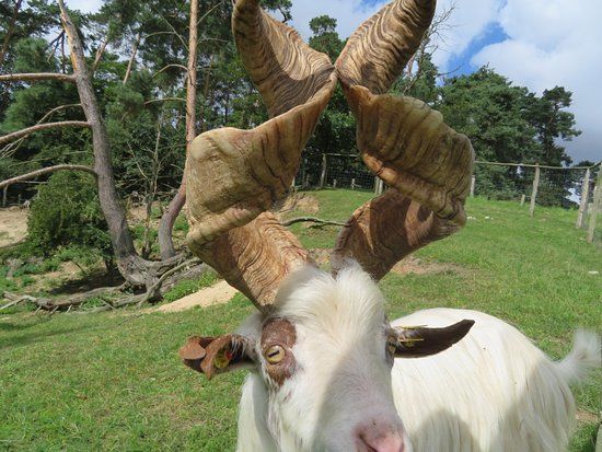 Haustierpark Lelkendorf