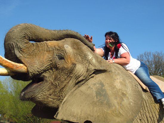 Elefantenhof Platschow